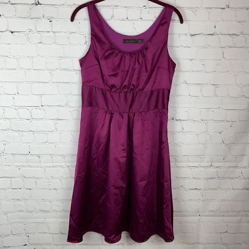 The Limited Satan Purple Dress Size 6